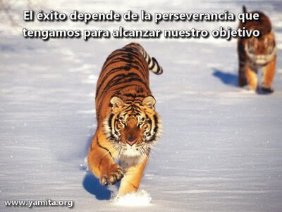 Perseverancia