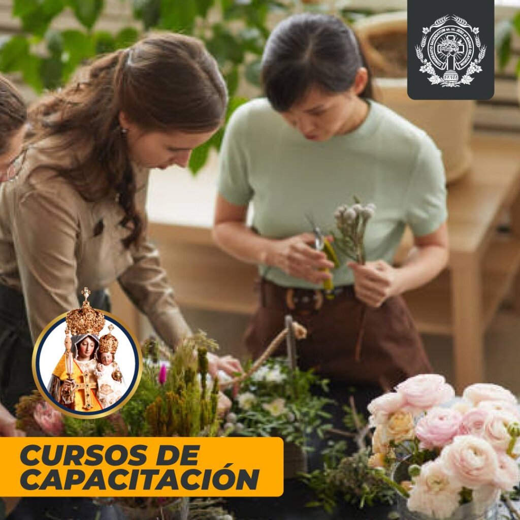 Cursos de capacitación