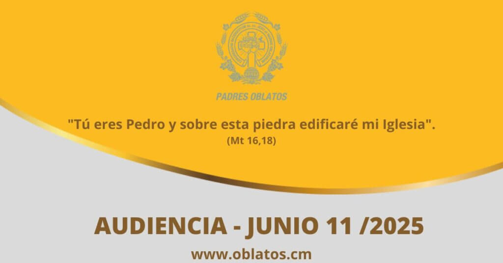 Audiencia junio 11 2025